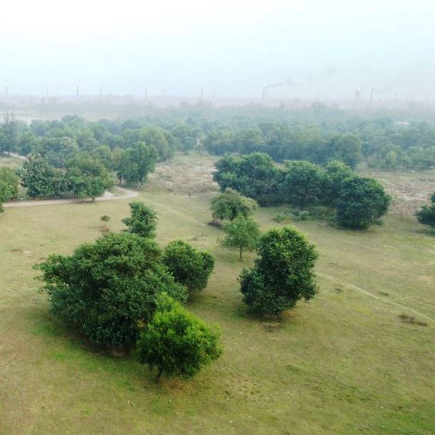 New Vision City Dhaleshwari River